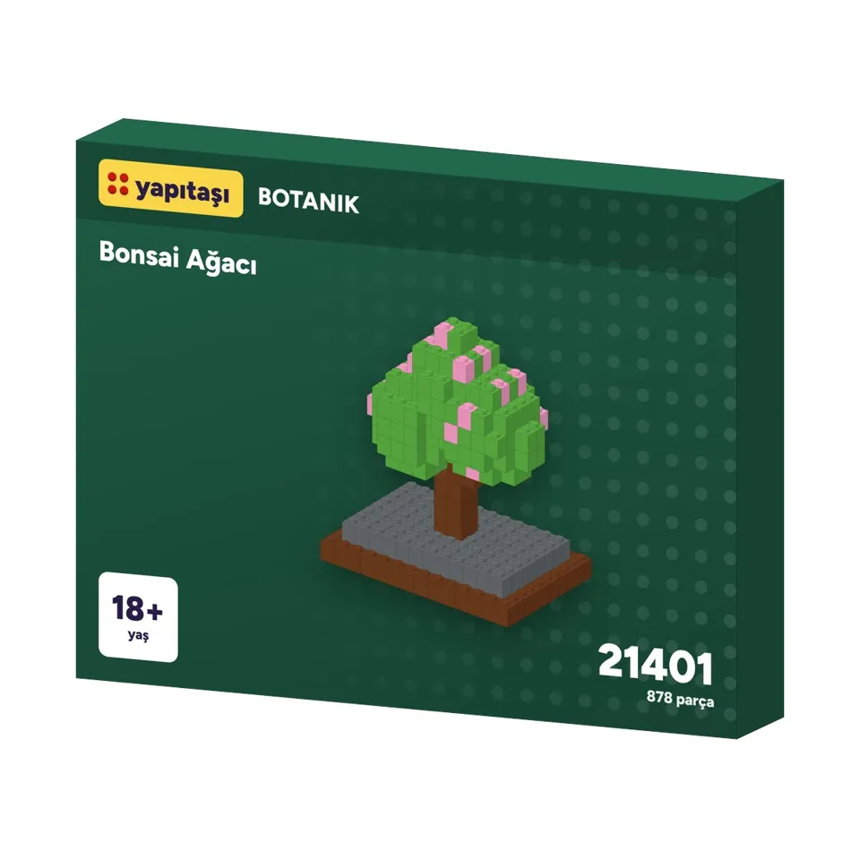 21401 Yapıtaşı Botanik Bonsai Ağacı