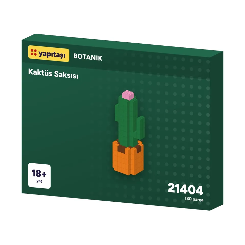 21404 Yapıtaşı Botanik Kaktüs Saksısı